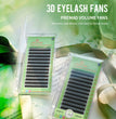 GLAMLASH L/LU/M W Shape Eyelash Extension 3D Premade Volume Fan Lashes W Style YY Lashes Faux Mink Volume Lashes Natural Eyelash