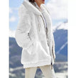 New Style Autumn And Winter Loose Plush Zipper Hooded Jacket Woman