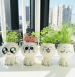 1pc Ceramic Flowerpot Mini Cat Cartoon Cute Plant Desktop Potted Plant Pot DIY Decorate Toys Science Education School Gifts