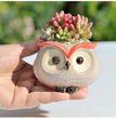 Ceramic Owl Flower Pot Garden Office Decoration Succulent Mini Owl Flowerpot Cute Animal Flowerpot Cactus Plants Planters