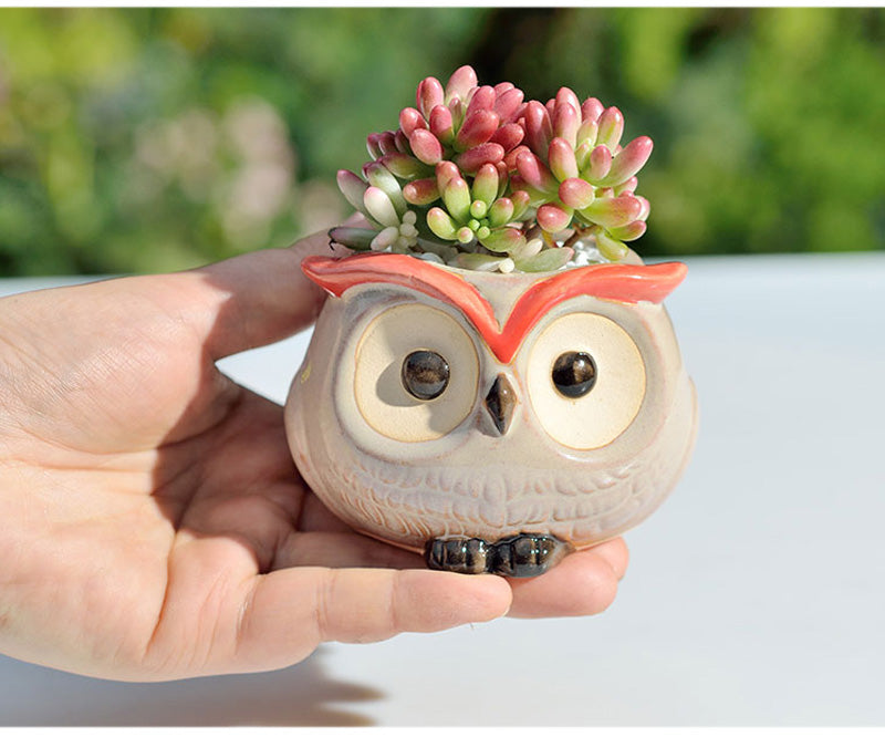 Ceramic Owl Flower Pot Garden Office Decoration Succulent Mini Owl Flowerpot Cute Animal Flowerpot Cactus Plants Planters