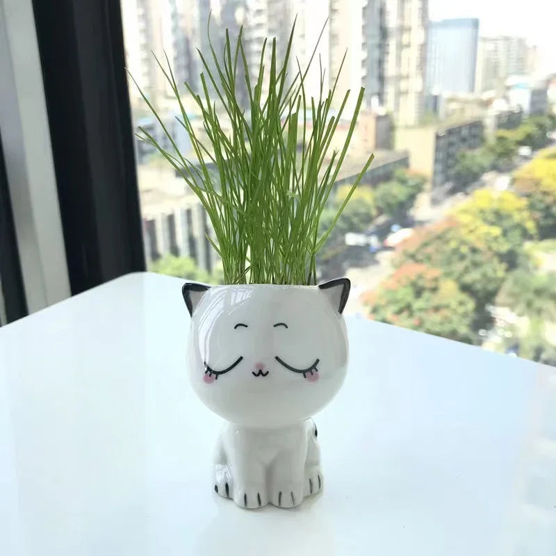 1pc Ceramic Flowerpot Mini Cat Cartoon Cute Plant Desktop Potted Plant Pot DIY Decorate Toys Science Education School Gifts