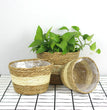 Handmade Woven Planter Basket Laundry Storage Decorative Basket Straw Wicker Rattan Seagrass Garden Flower Pot Storage Basket