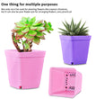 10PCS Gardening Mini Small Square Pot Flower Pot Succulent Pot Little Black Square Plastic Pot Seedling Tray Containe