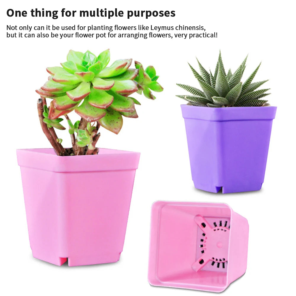 10PCS Gardening Mini Small Square Pot Flower Pot Succulent Pot Little Black Square Plastic Pot Seedling Tray Containe