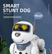 Intelligent Stunt Remote Control Robot Dog Toy, Programmable Robotic Puppy,Smart Interactive,Singing Dancing Following, Kid Gift