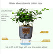 Transparent Double Layer Plastic Flower Pot Self Watering Flowerpot Cotton Rope Watering Small Plant Pot with Injection Port