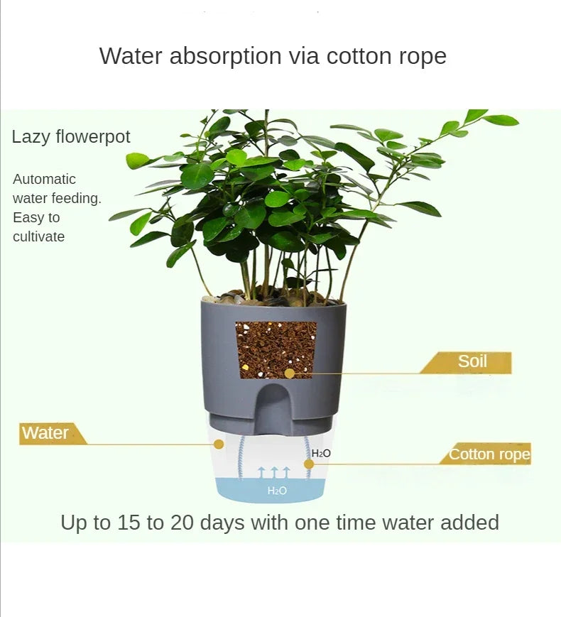 Transparent Double Layer Plastic Flower Pot Self Watering Flowerpot Cotton Rope Watering Small Plant Pot with Injection Port