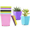 10PCS Gardening Mini Small Square Pot Flower Pot Succulent Pot Little Black Square Plastic Pot Seedling Tray Containe