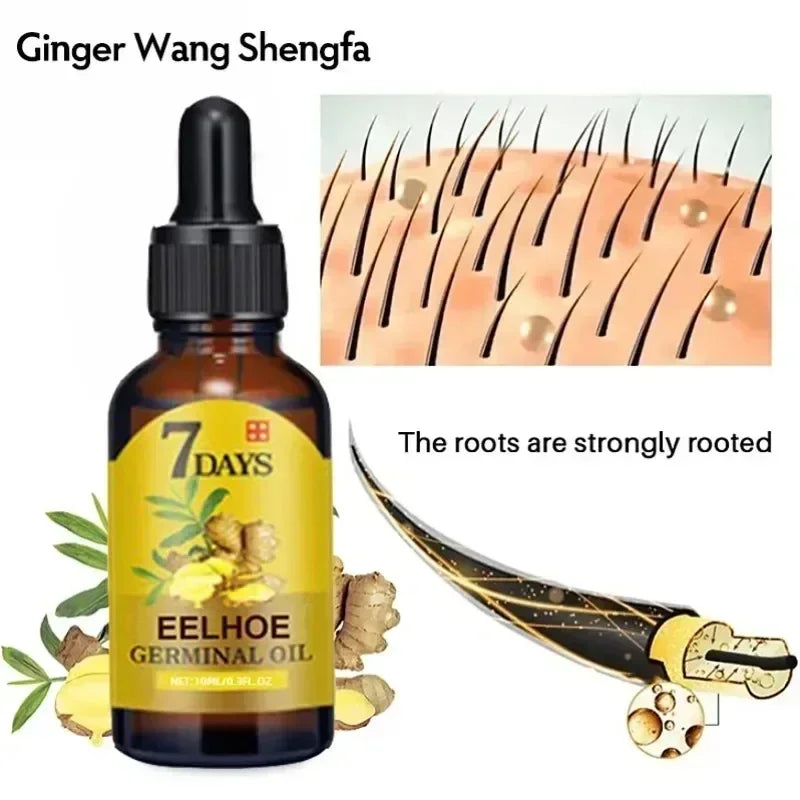 7 Day Rapid Growth Liquid Anti Hair Loss Ginger Growth Conditioning  Treatment Nourish Hair Growth Oil Scalp Care Serum Products