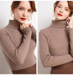 Women Fall Turtleneck Sweater Knitted Soft Pullovers Cashmere Jumpers Basic Soft Sweaters For Women 2024 Autumn Winter