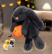 1pc Cute Black Rabbit Hold Pumpkin Plush Toys Soft Pumpkin Bear Earphone &cloak Eggplant Stuffed Doll Halloween Trick or Treat