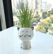 1pc Ceramic Flowerpot Mini Cat Cartoon Cute Plant Desktop Potted Plant Pot DIY Decorate Toys Science Education School Gifts