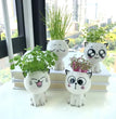 1pc Ceramic Flowerpot Mini Cat Cartoon Cute Plant Desktop Potted Plant Pot DIY Decorate Toys Science Education School Gifts