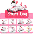 Intelligent Stunt Remote Control Robot Dog Toy, Programmable Robotic Puppy,Smart Interactive,Singing Dancing Following, Kid Gift