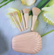 5Pcs Shell Portable Makeup Brush Set HD Mirror Soft Fiber Hair Beauty Tool Repair Brush Lip Brush Full Set Of Cosmetic Brush