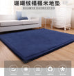 Latest Japanese Style 3CM Thickening Coral Fleece Velvet Mattress Camel Bed Mattress Living Room Tatami Carpet Baby Crawling Mat