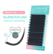 GLAMLASH L/LU/M W Shape Eyelash Extension 3D Premade Volume Fan Lashes W Style YY Lashes Faux Mink Volume Lashes Natural Eyelash