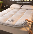 Hotel special mattress thickened home mat single bed double mattress dormitory students rent special mattress soft cushion