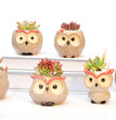 Ceramic Owl Flower Pot Garden Office Decoration Succulent Mini Owl Flowerpot Cute Animal Flowerpot Cactus Plants Planters