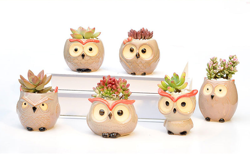 Ceramic Owl Flower Pot Garden Office Decoration Succulent Mini Owl Flowerpot Cute Animal Flowerpot Cactus Plants Planters