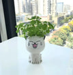 1pc Ceramic Flowerpot Mini Cat Cartoon Cute Plant Desktop Potted Plant Pot DIY Decorate Toys Science Education School Gifts