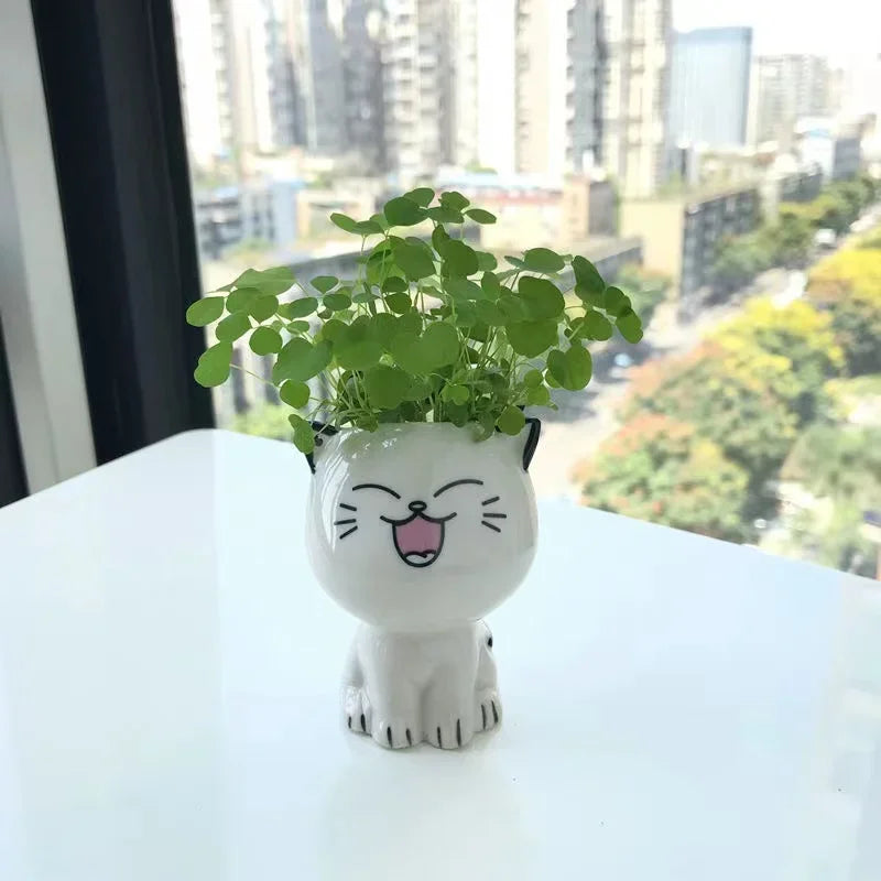 1pc Ceramic Flowerpot Mini Cat Cartoon Cute Plant Desktop Potted Plant Pot DIY Decorate Toys Science Education School Gifts