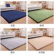 Latest Japanese Style 3CM Thickening Coral Fleece Velvet Mattress Camel Bed Mattress Living Room Tatami Carpet Baby Crawling Mat