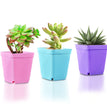 10PCS Gardening Mini Small Square Pot Flower Pot Succulent Pot Little Black Square Plastic Pot Seedling Tray Containe