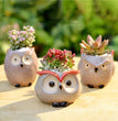 Ceramic Owl Flower Pot Garden Office Decoration Succulent Mini Owl Flowerpot Cute Animal Flowerpot Cactus Plants Planters