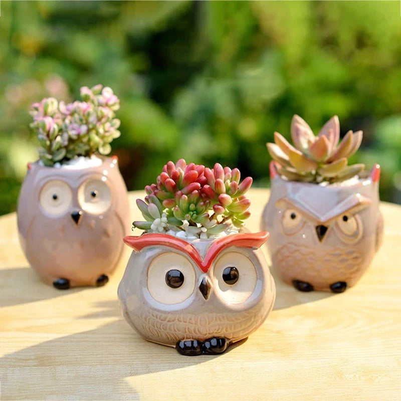 Ceramic Owl Flower Pot Garden Office Decoration Succulent Mini Owl Flowerpot Cute Animal Flowerpot Cactus Plants Planters