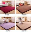 Latest Japanese Style 3CM Thickening Coral Fleece Velvet Mattress Camel Bed Mattress Living Room Tatami Carpet Baby Crawling Mat