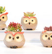 Ceramic Owl Flower Pot Garden Office Decoration Succulent Mini Owl Flowerpot Cute Animal Flowerpot Cactus Plants Planters