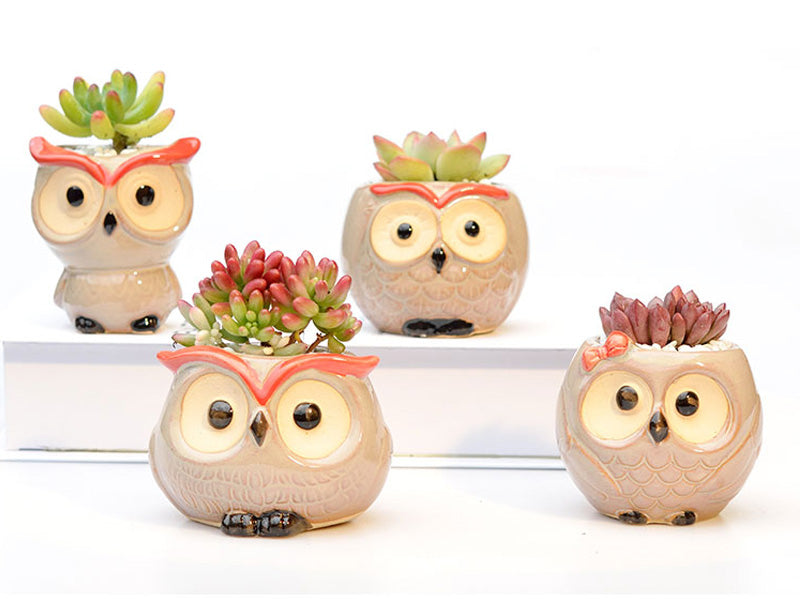 Ceramic Owl Flower Pot Garden Office Decoration Succulent Mini Owl Flowerpot Cute Animal Flowerpot Cactus Plants Planters