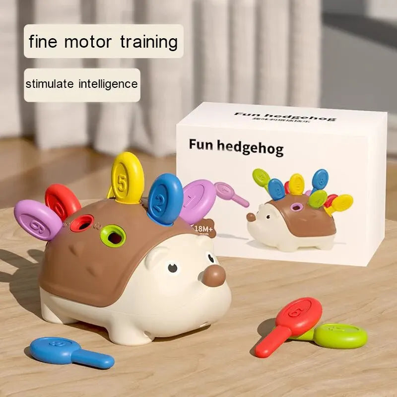 Montessori Educational Toy Fine Motor Toys for Toddlers 1-3 Hedgehog Learning Counting & Sorting Development Sensory Gifts