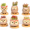 Ceramic Owl Flower Pot Garden Office Decoration Succulent Mini Owl Flowerpot Cute Animal Flowerpot Cactus Plants Planters