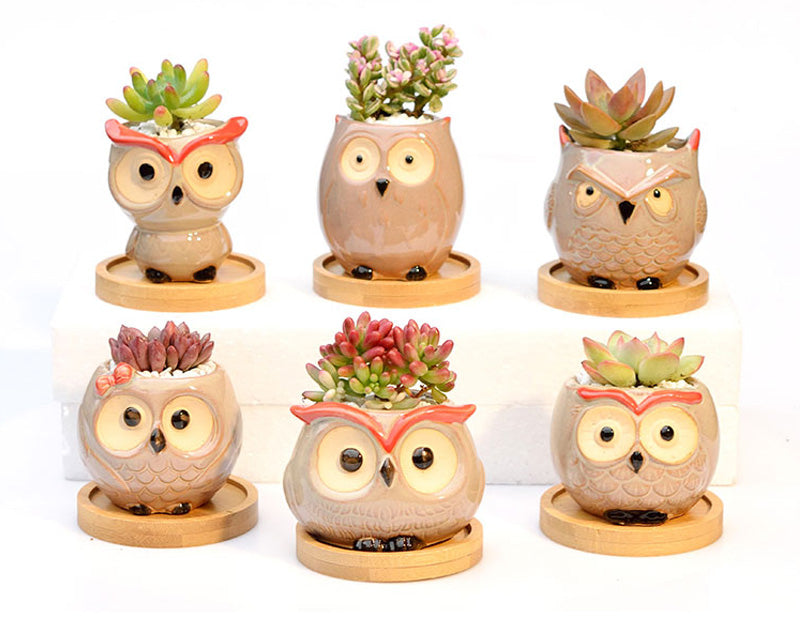 Ceramic Owl Flower Pot Garden Office Decoration Succulent Mini Owl Flowerpot Cute Animal Flowerpot Cactus Plants Planters