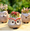 Ceramic Owl Flower Pot Garden Office Decoration Succulent Mini Owl Flowerpot Cute Animal Flowerpot Cactus Plants Planters