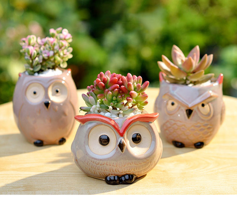 Ceramic Owl Flower Pot Garden Office Decoration Succulent Mini Owl Flowerpot Cute Animal Flowerpot Cactus Plants Planters