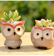 Ceramic Owl Flower Pot Garden Office Decoration Succulent Mini Owl Flowerpot Cute Animal Flowerpot Cactus Plants Planters