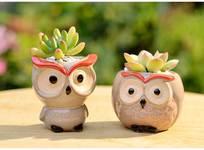 Ceramic Owl Flower Pot Garden Office Decoration Succulent Mini Owl Flowerpot Cute Animal Flowerpot Cactus Plants Planters