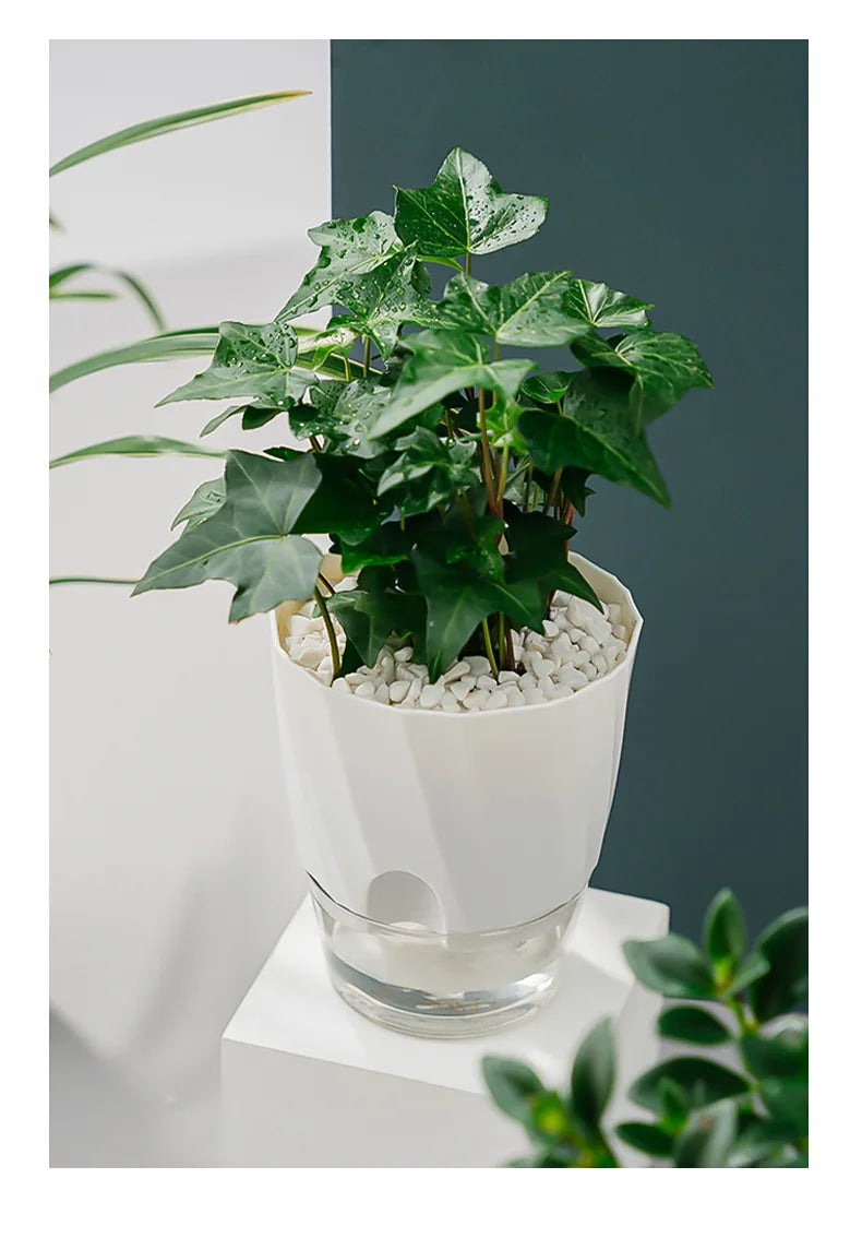 Lazy Hydroponic Flower Pot Automatic Water-Absorbing Flowerpot Transparent Double Layer Plastic Self Watering Planter Office