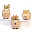 Ceramic Owl Flower Pot Garden Office Decoration Succulent Mini Owl Flowerpot Cute Animal Flowerpot Cactus Plants Planters