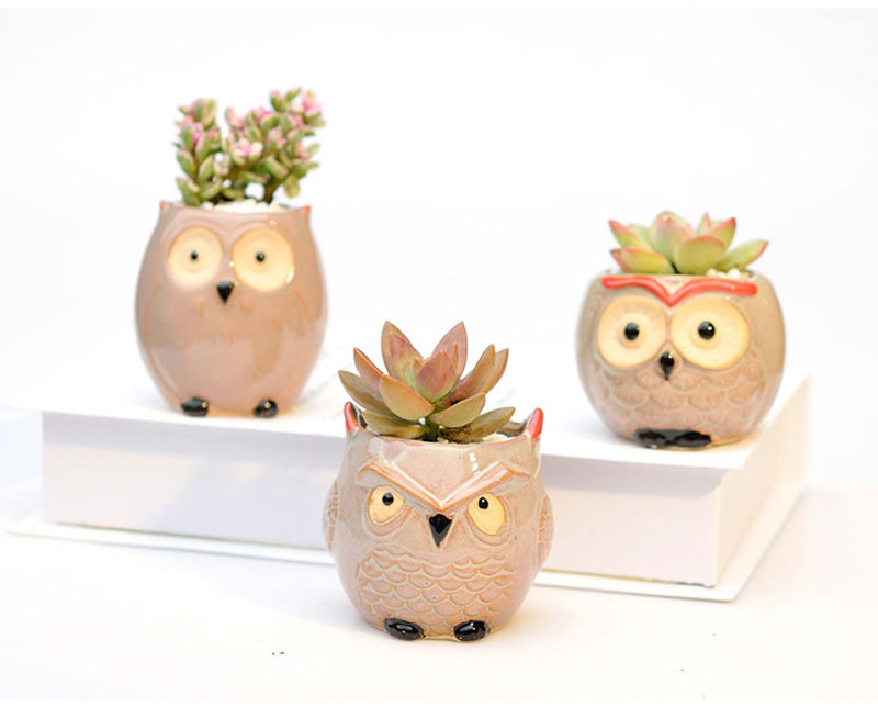 Ceramic Owl Flower Pot Garden Office Decoration Succulent Mini Owl Flowerpot Cute Animal Flowerpot Cactus Plants Planters