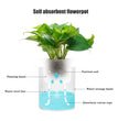 Self Watering Flowerpot Indoor Succulent Hydroponic Plants Pot Mini Planter Pots Fish Tank Tabletop Flower Pot Home Bonsai Decor