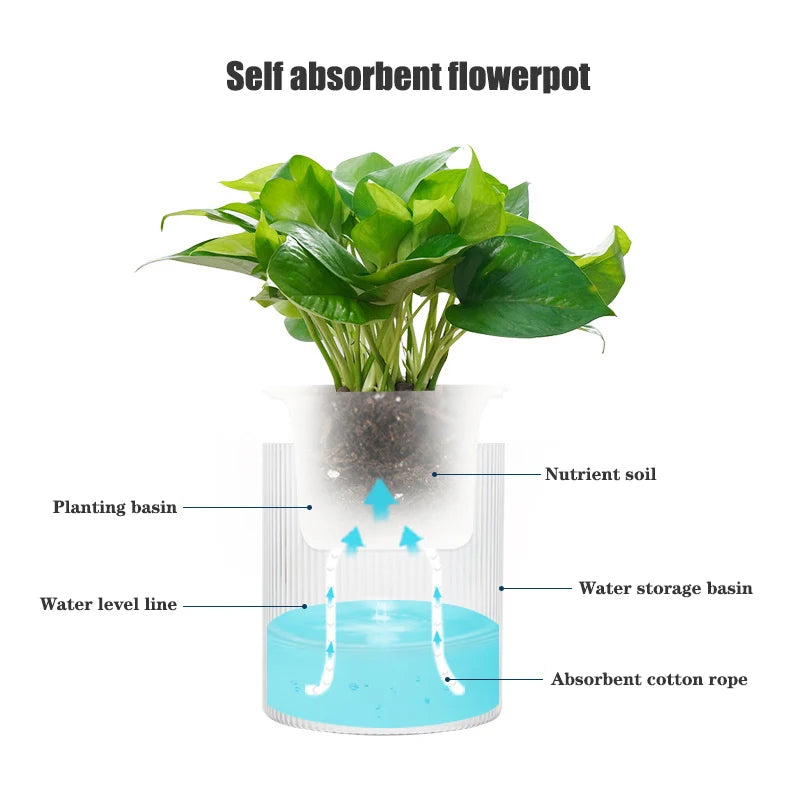 Self Watering Flowerpot Indoor Succulent Hydroponic Plants Pot Mini Planter Pots Fish Tank Tabletop Flower Pot Home Bonsai Decor