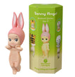 Sonny Angel Blind Box 20th Anniversary Harvest Series Fruit And Vegetable Anime Figures Ornaments Dolls Fans Children Gift