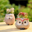 Ceramic Owl Flower Pot Garden Office Decoration Succulent Mini Owl Flowerpot Cute Animal Flowerpot Cactus Plants Planters