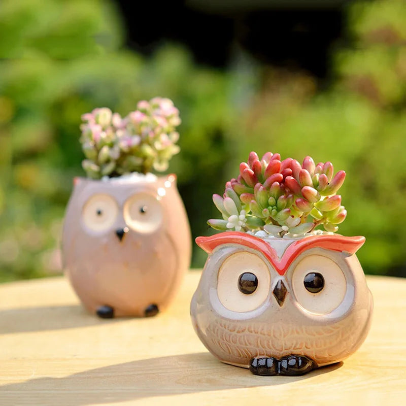 Ceramic Owl Flower Pot Garden Office Decoration Succulent Mini Owl Flowerpot Cute Animal Flowerpot Cactus Plants Planters