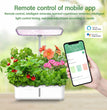 Tuya WiFi Plant Hydroponics System Growing LED Light Soilless Smart Planting Machine Self Watering Indoor Home Gardening Planter